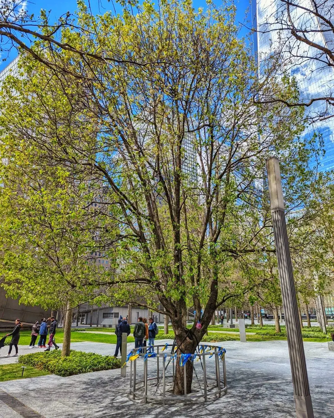 Walking Tour