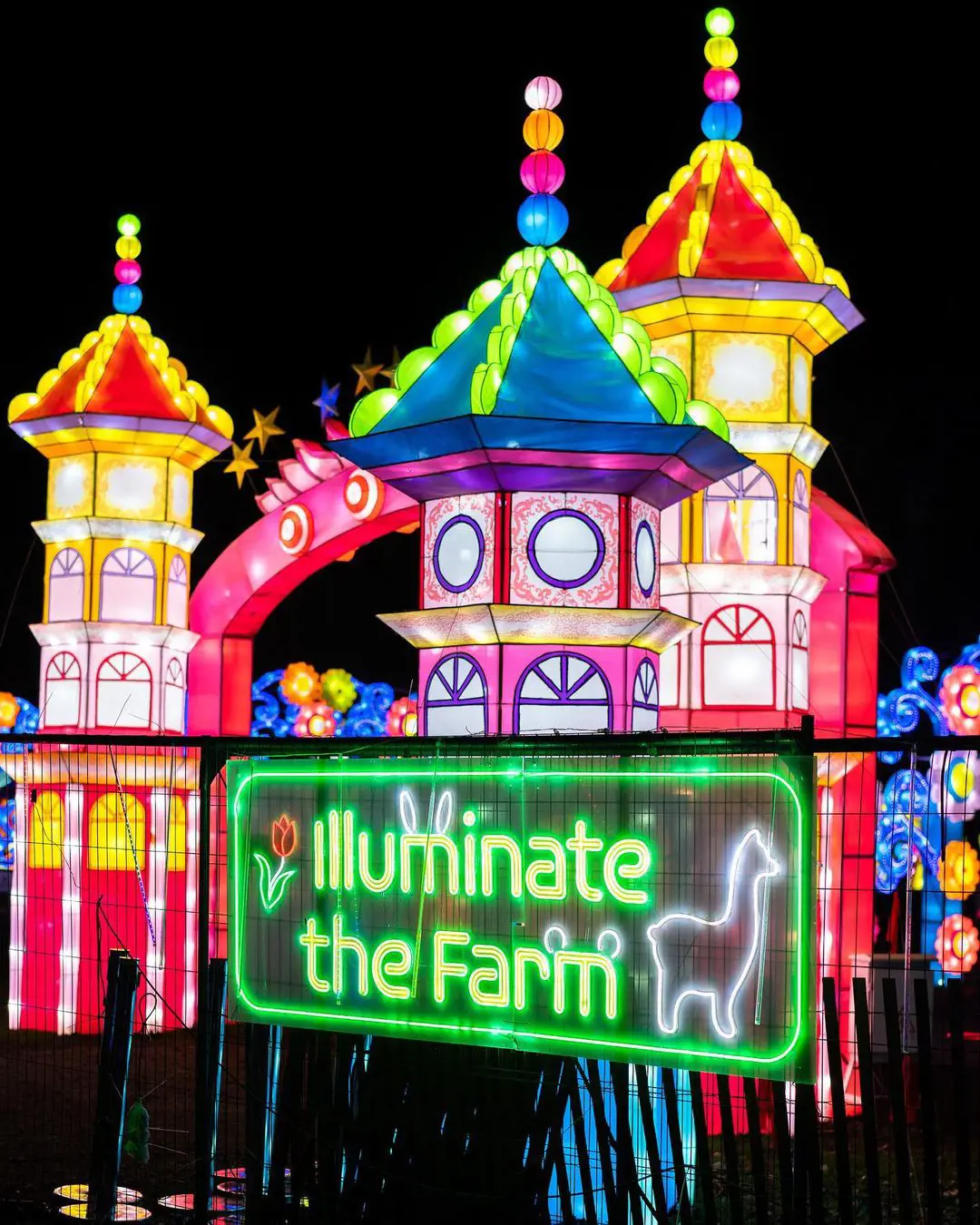 The beautiful Winter Lantern Festival.