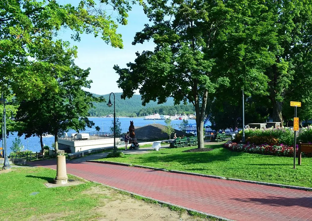 Gorgeous view of lush greenery at Shepherd Park