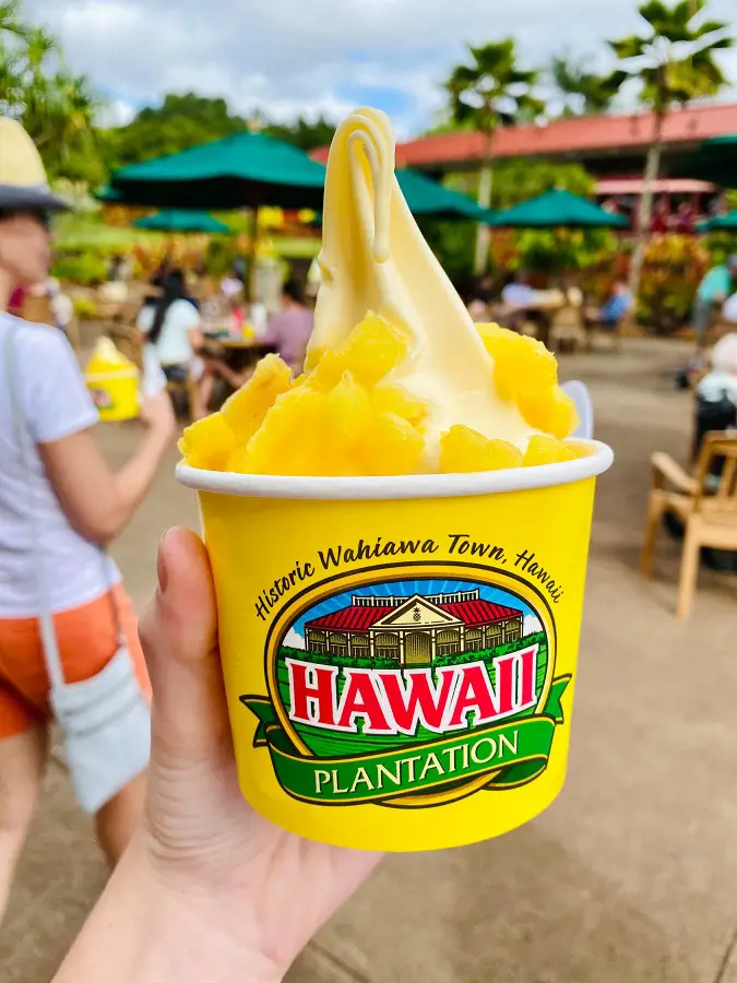 Dole whip on the Dole plantation. (Photo By: Ava W)