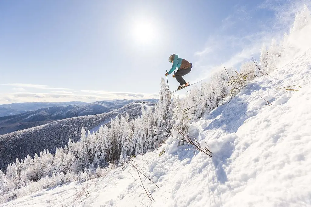 A glimpse of visitors enjoying skiing at Whiteface Mountain