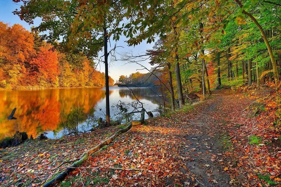Durand Eastman Park during the fall.