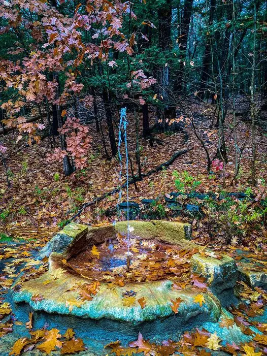Polaris Springs locates in the middle of Saratoga Spa State Park