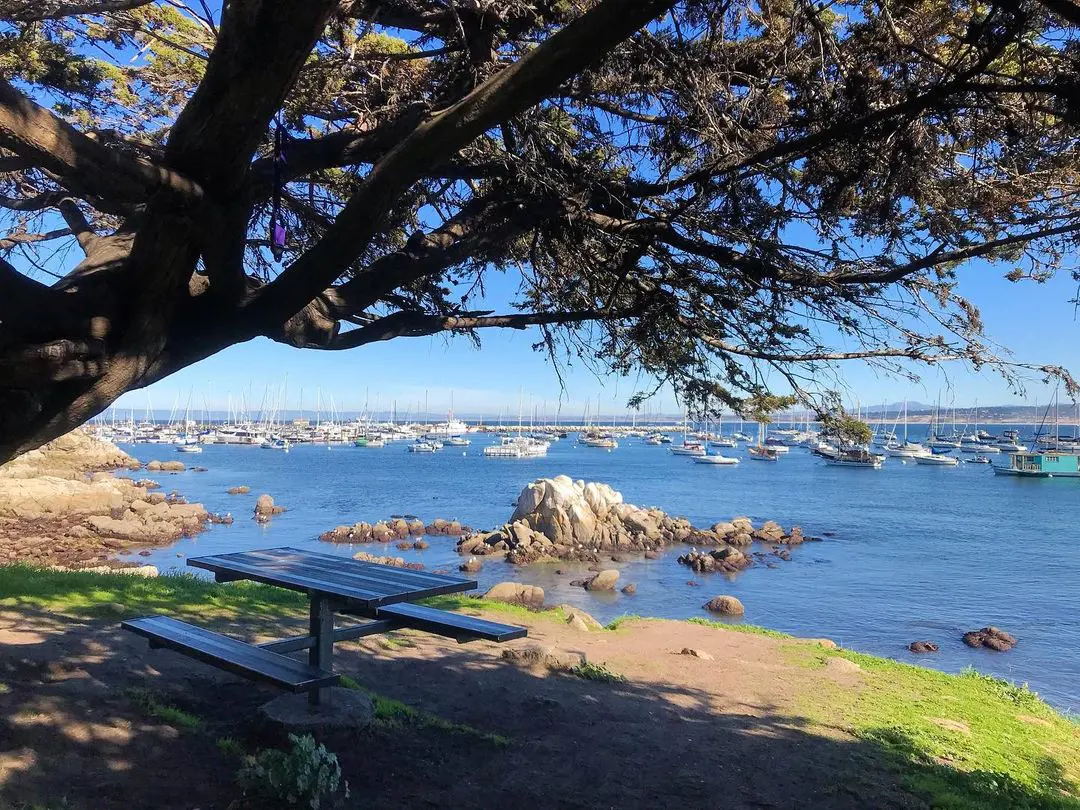 The beautiful view of the Monterey Bay Coastal Recreation Trail.